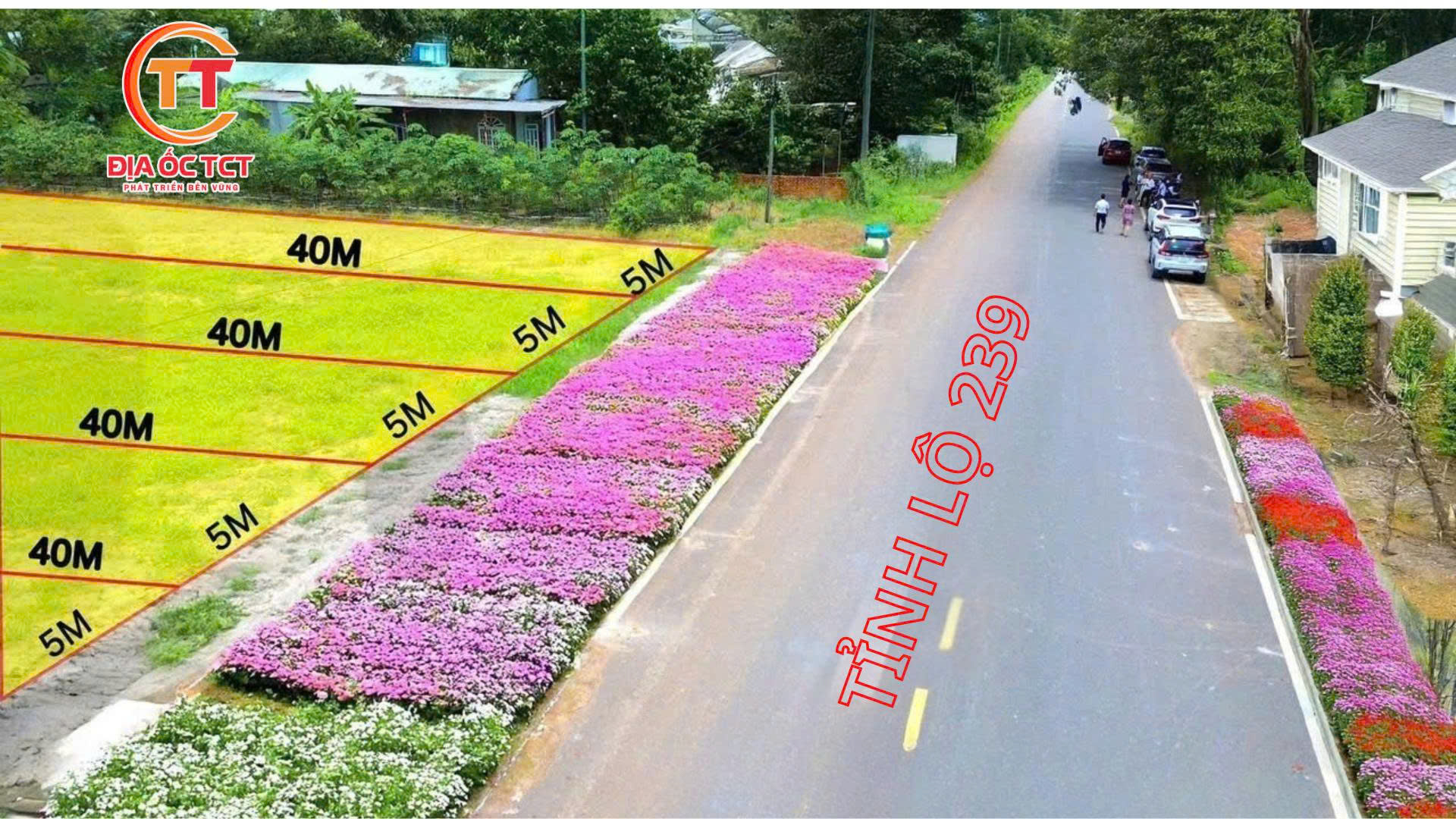 Hạ Tầng dự án DT 239 Center