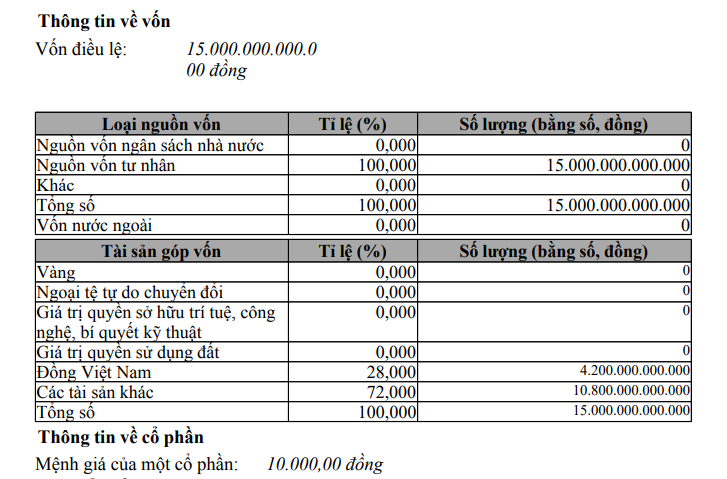 Cơ cấu tài sản góp vốn điều lệ của VinSpeed. Ảnh chụp màn hình