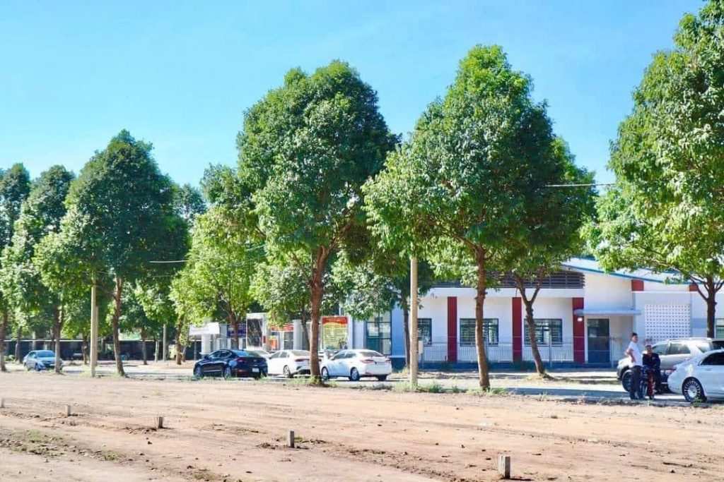 Sẽ gắn mã định danh cho từng thửa đất